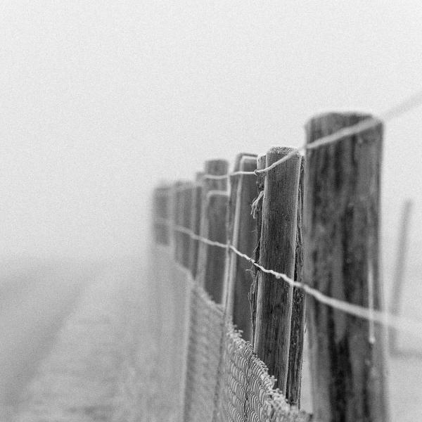 Border