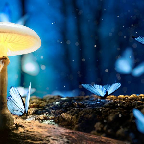 Magic World